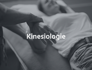 Kinesiologie Kurse und Ausbildungen