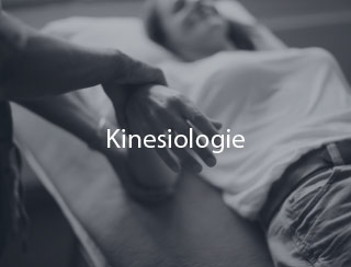 Kinesiologie Kurse und Ausbildungen